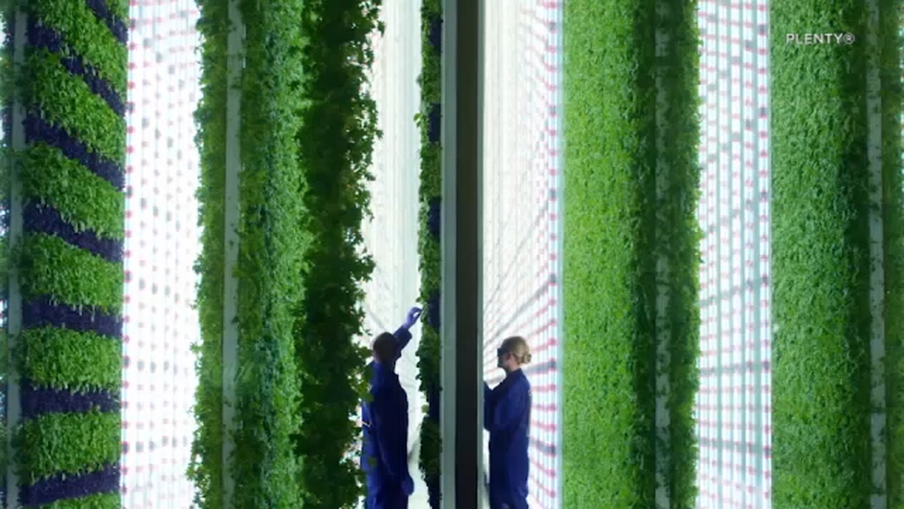 Futuristic vertical farm aims to bring fresh produce, jobs to Compton