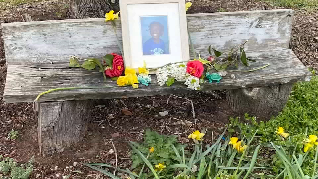 6-year-old boy found in Wake County road was hit by truck: Officials