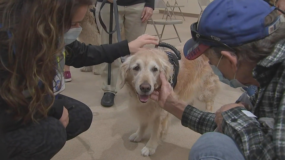 Therapy Dogs provide support to COVID-19 vaccine site workers 