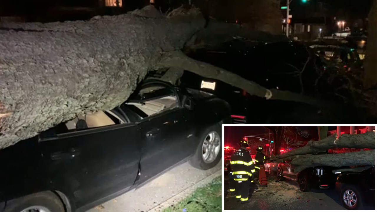 Falling tree smashes several cars in NYC; no serious injuries
