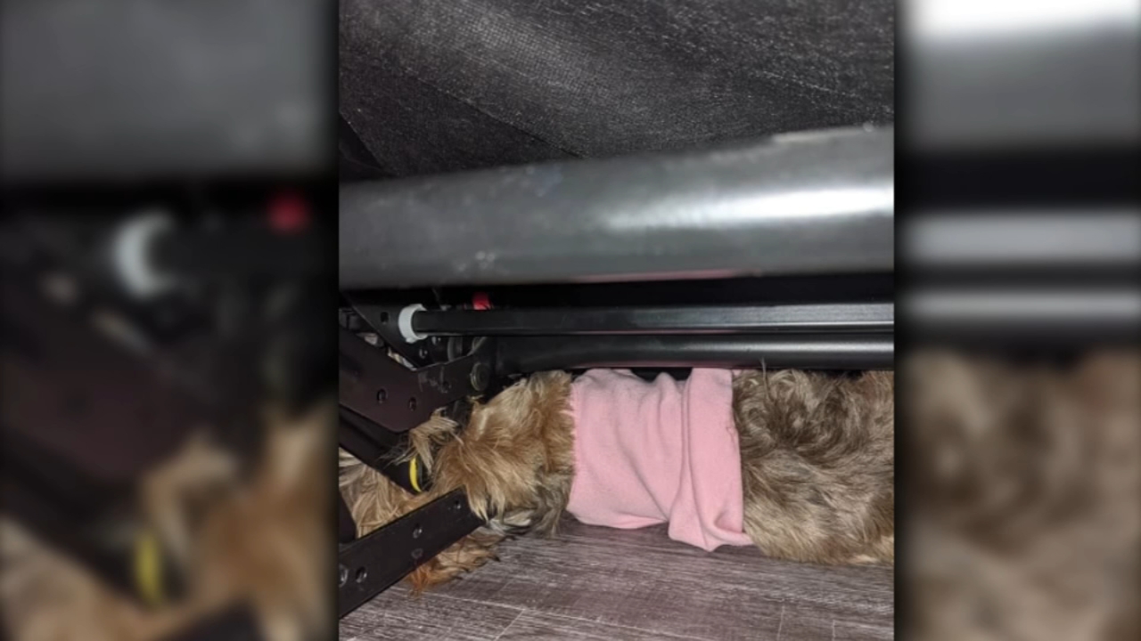 Firefighters rescue dog stuck in reclining sofa