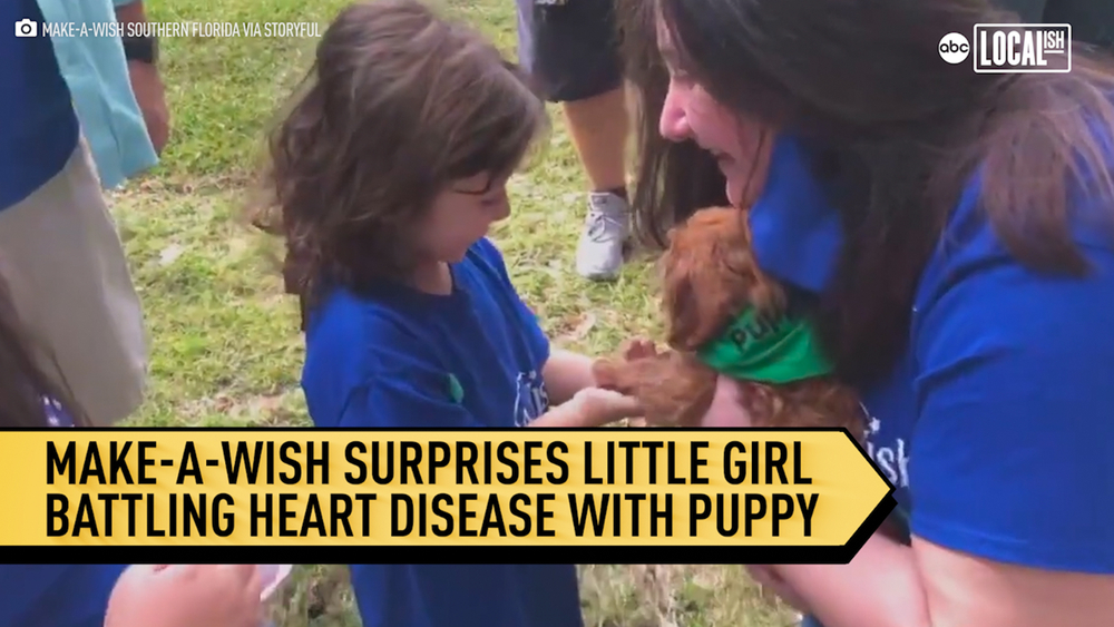 Little Girl With Heart Condition Surprised with Puppy