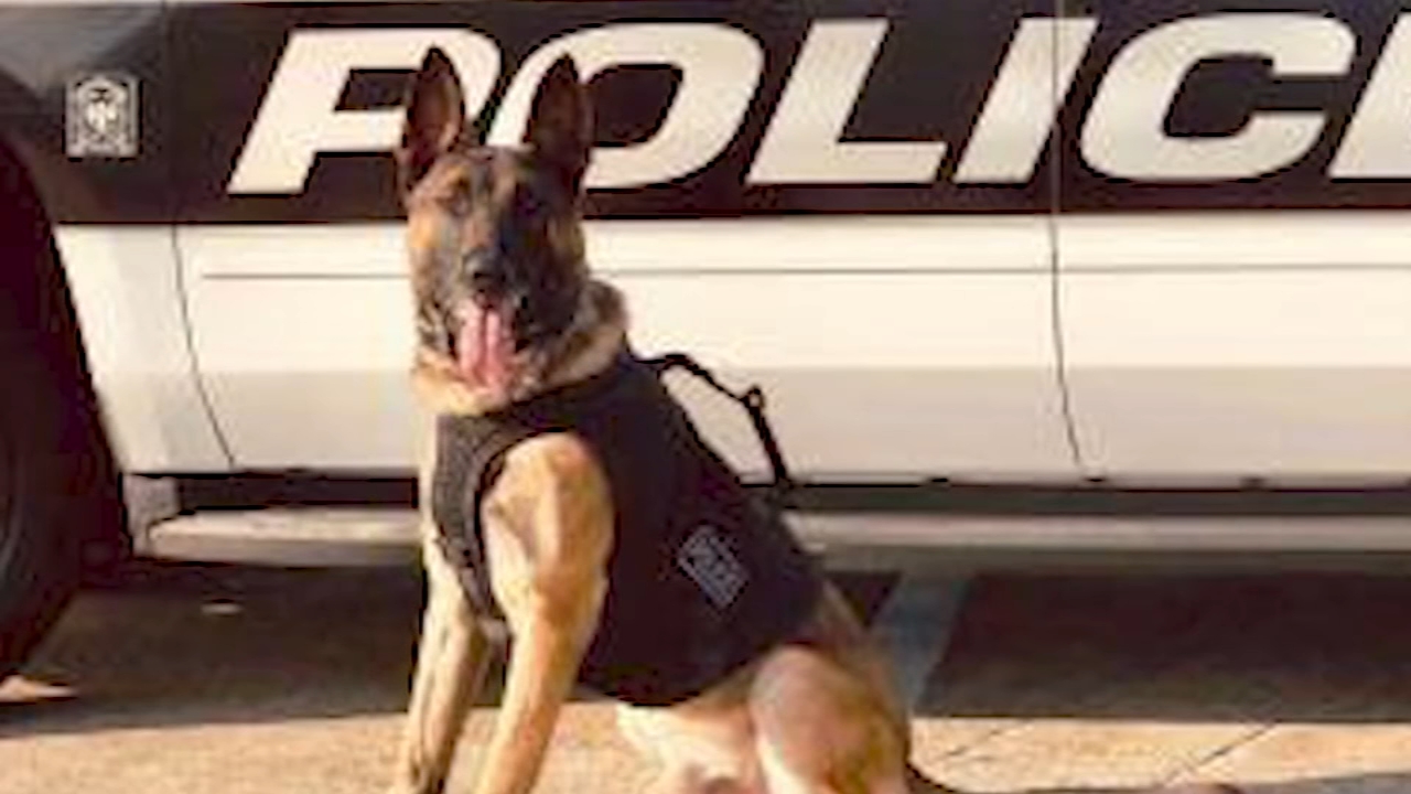 Durham police K-9 wounded in shooting; 1 in custody after manhunt