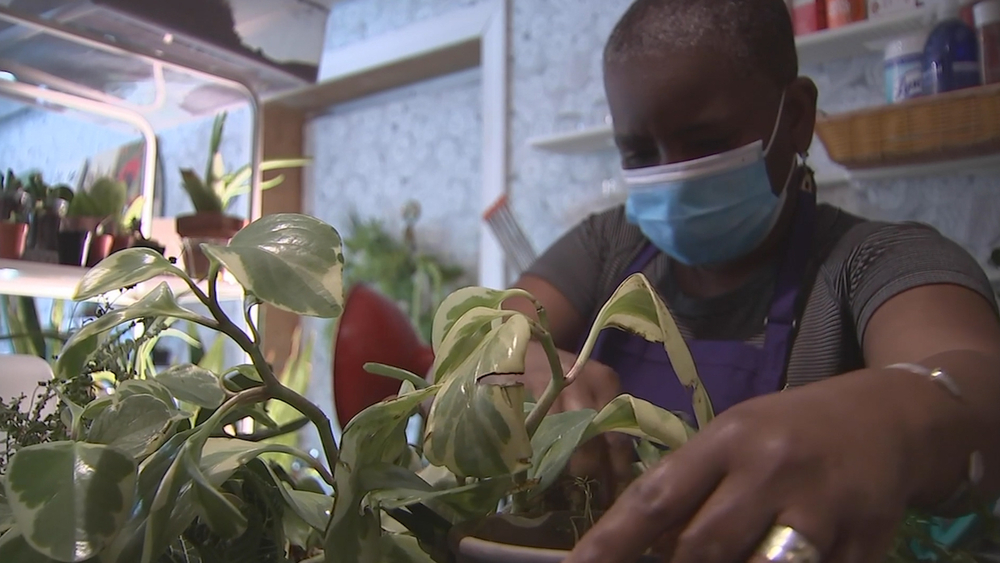 Plant and People aims to heal Philadelphia neighborhoods using the power of plants 