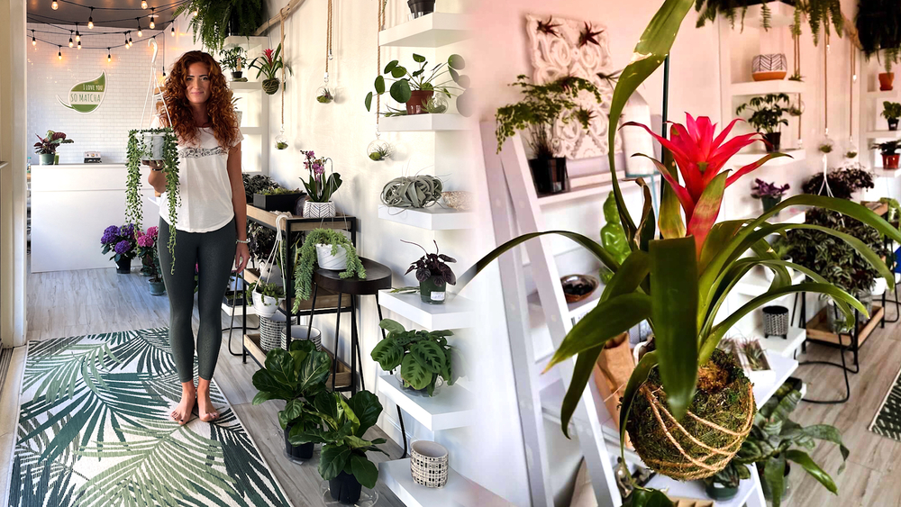 Hot yoga studio sells unique houseplants for more green in your life