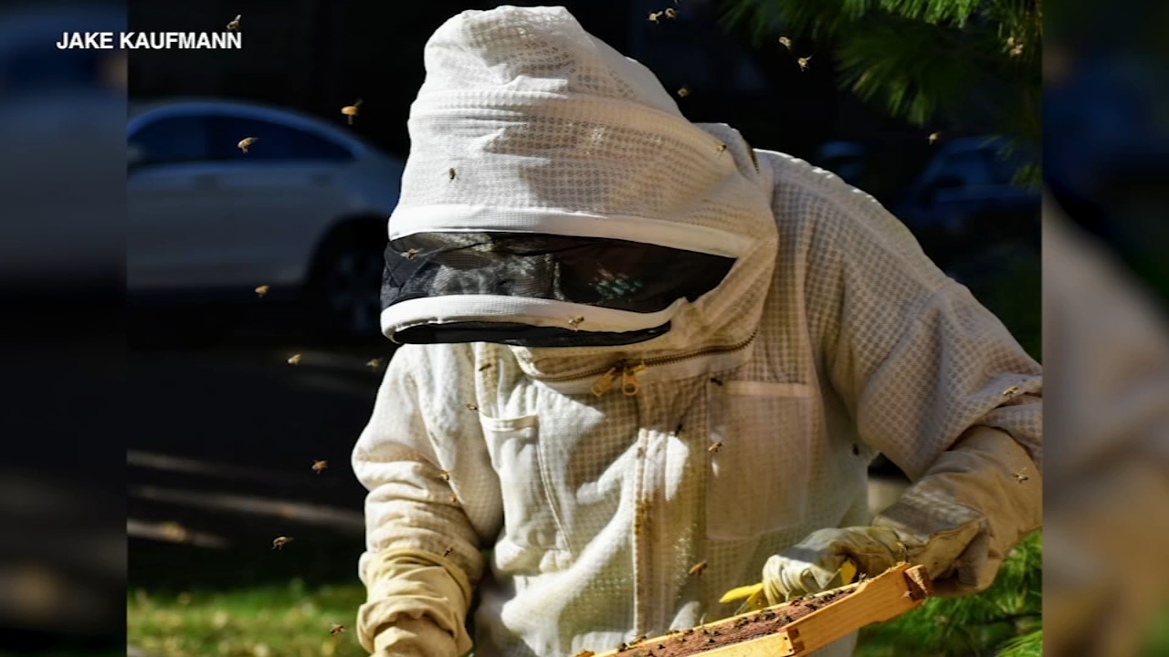 Chicago flower shop helping Southport Corridor Bees recover after losing hives
