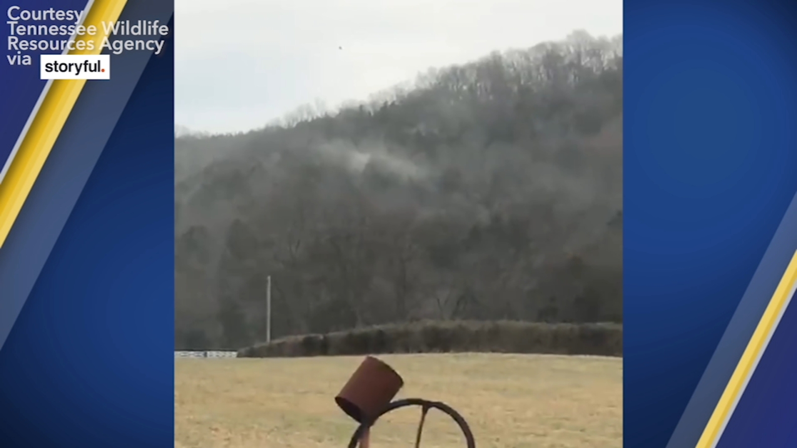 WATCH Pollen billows through Tennessee forest, makes trees 'look like