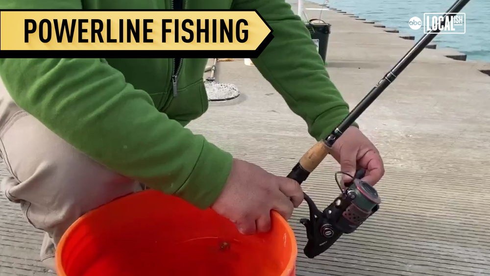 Powerline fishermen are back on Chicago's lakefront!