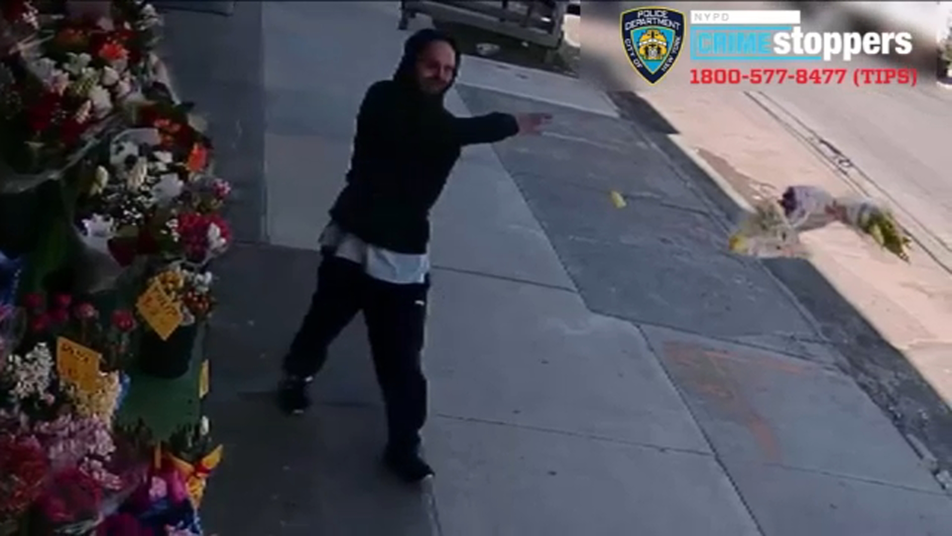 Elderly Asian man pushed to ground in Brooklyn