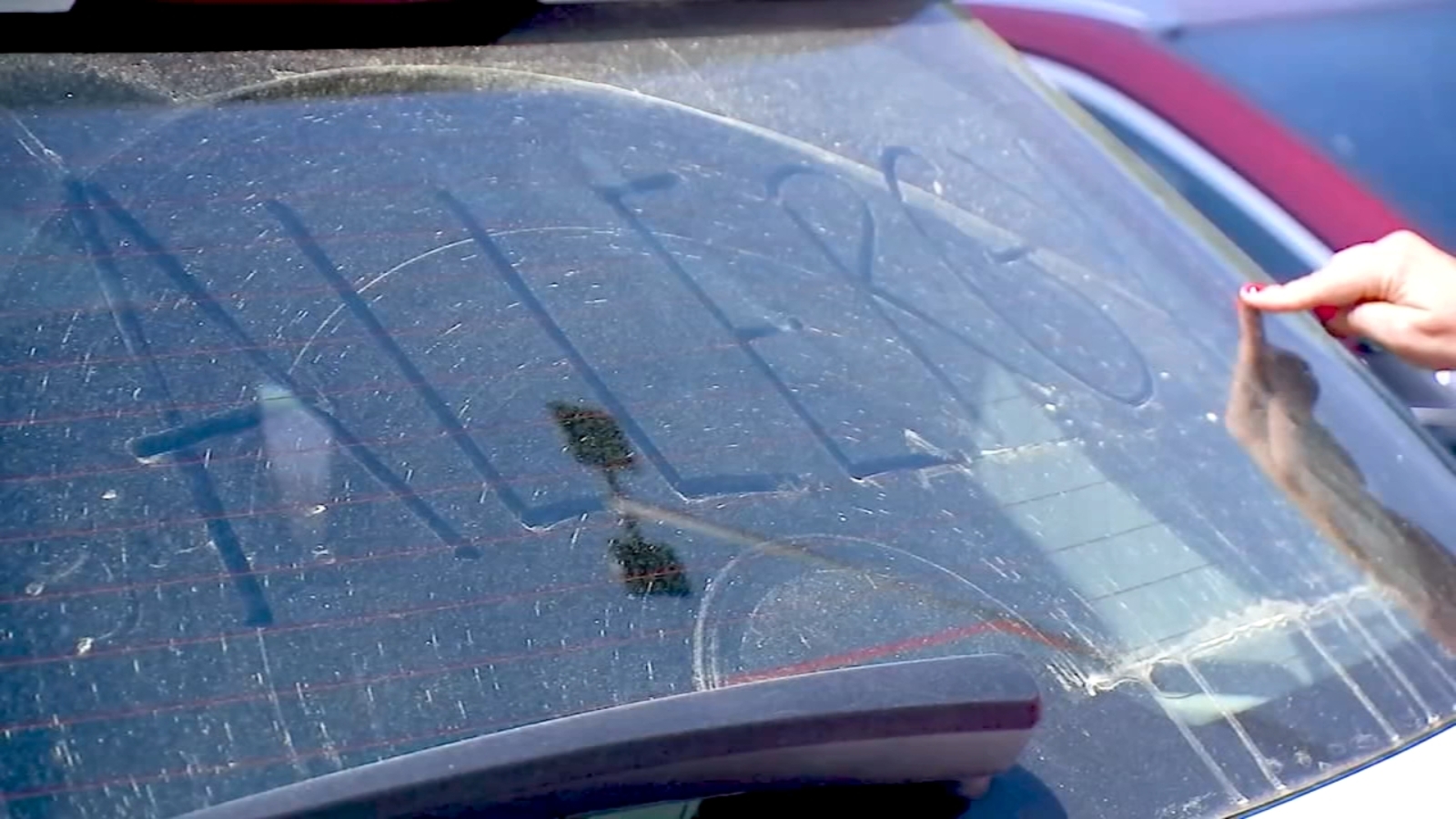 Allergies acting up? You're not alone. North Carolina doctors see flurry of allergy flareups