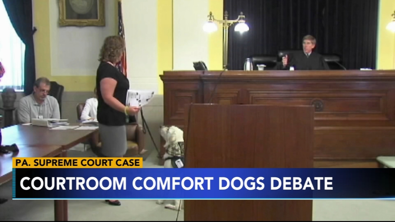 Growing debate inside Pa Supreme Court to allow comfort dogs for