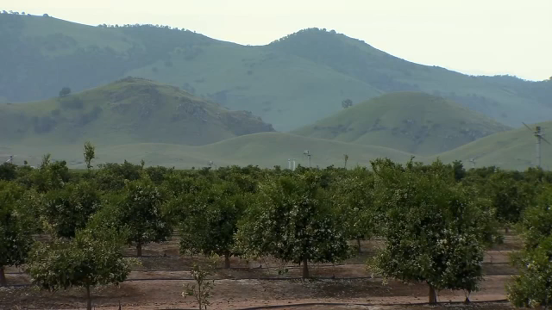 Man accidentally shot while hunting in Fresno County