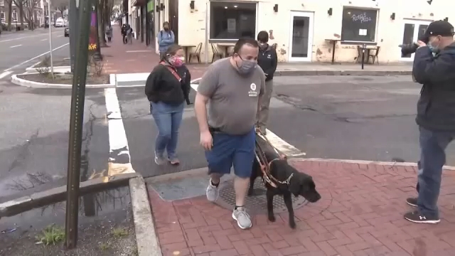 Guide dogs give blind, visually impaired students newfound freedom