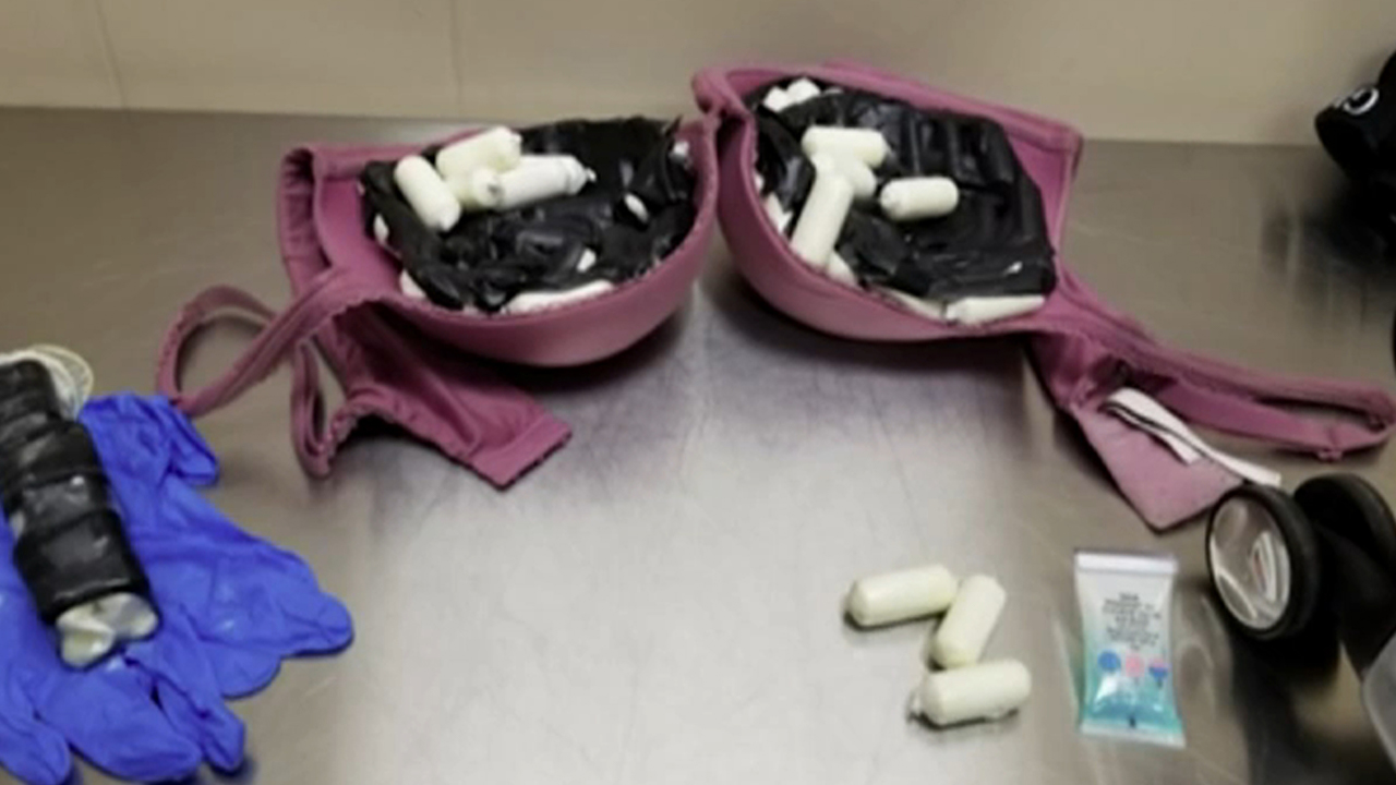 $94K worth of cocaine found in woman's bra, purse at NYC airport