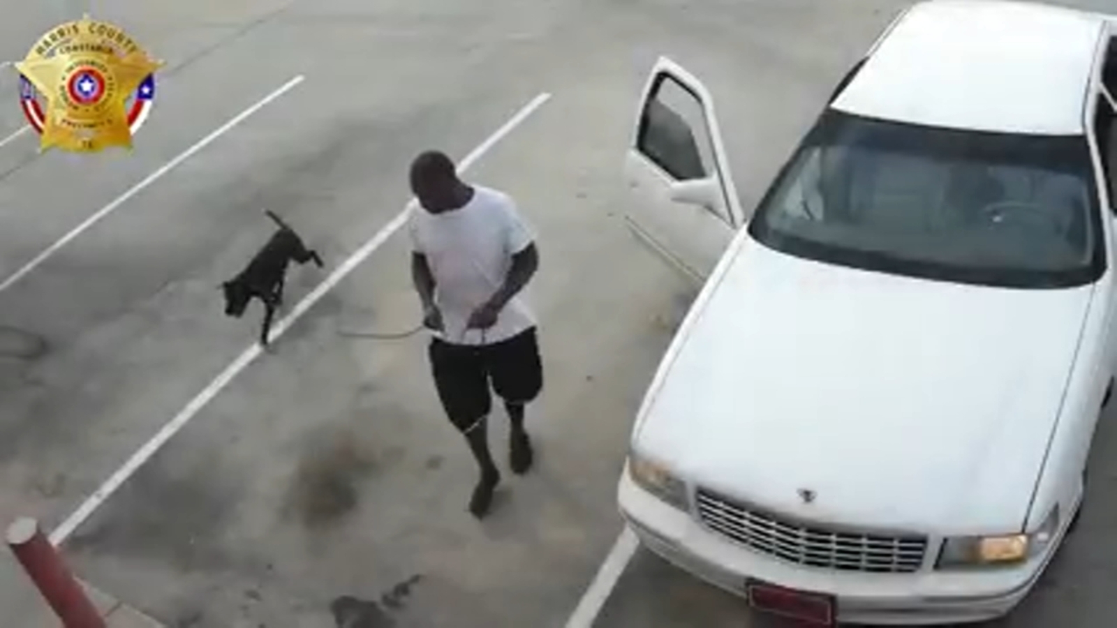 Man caught on camera dumping dog at north Harris County gas station ...
