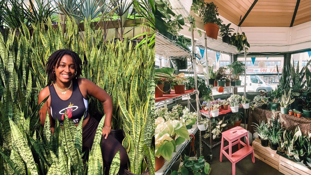Plant nursery blooms inside abandoned police kiosk in NJ