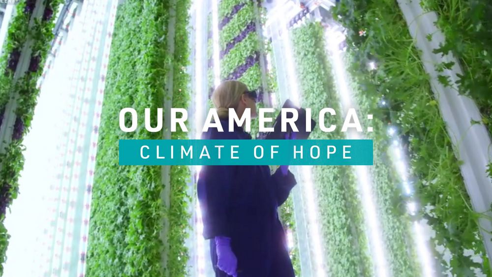 Food innovation reduces reliance on animals and water