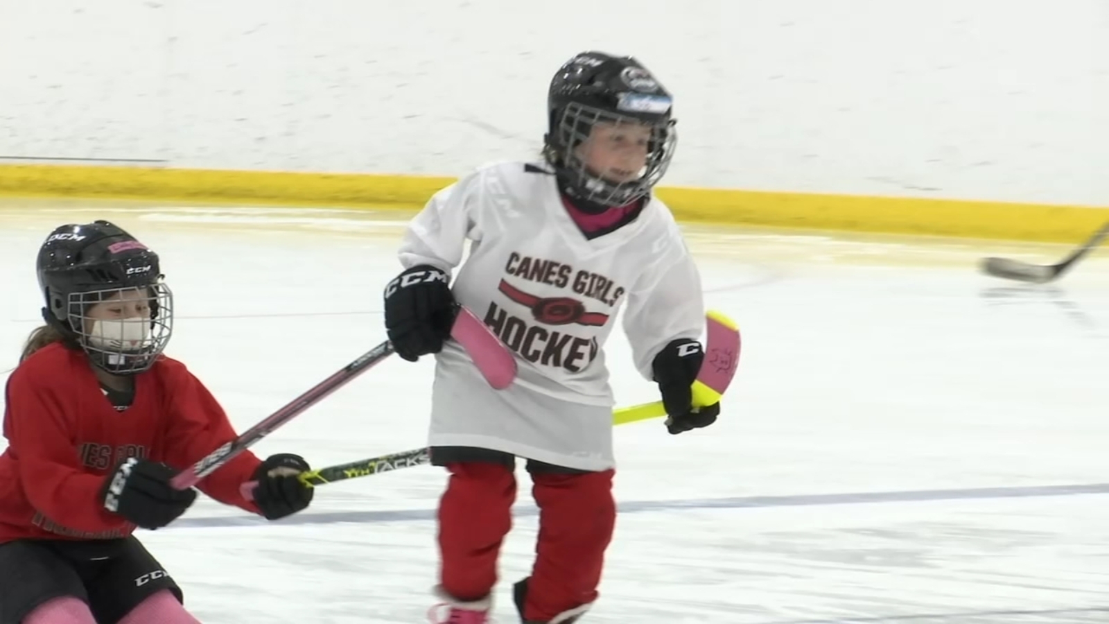 Canes Girls Youth Program aims to grow hockey's appeal ABC11 Raleigh