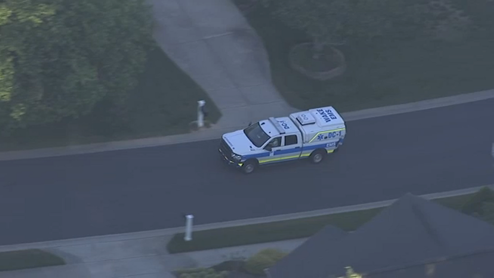 Dogs attack, kill 7-year-old girl, Garner police say