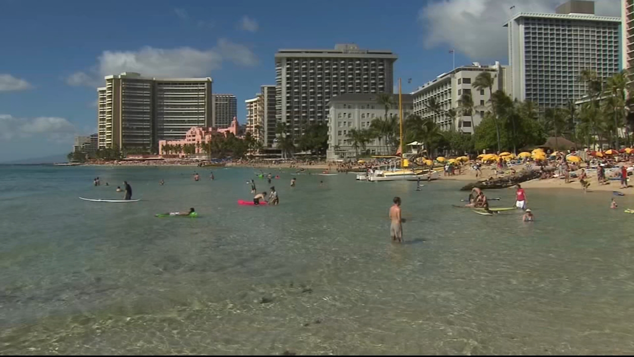 Many planning 'revenge travel' as COVID-19 restrictions ease
