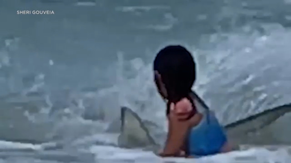 Video shows girl, 6, narrowly escape shark in Hawaii