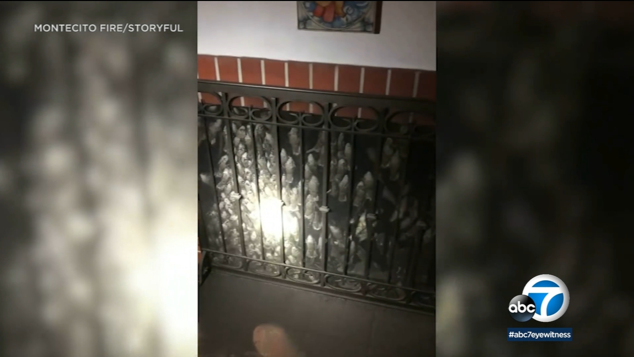 1,000 birds become unwelcome guests in a California home