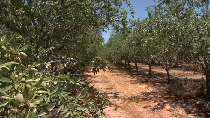 Merced County News Abc7 Los Angeles