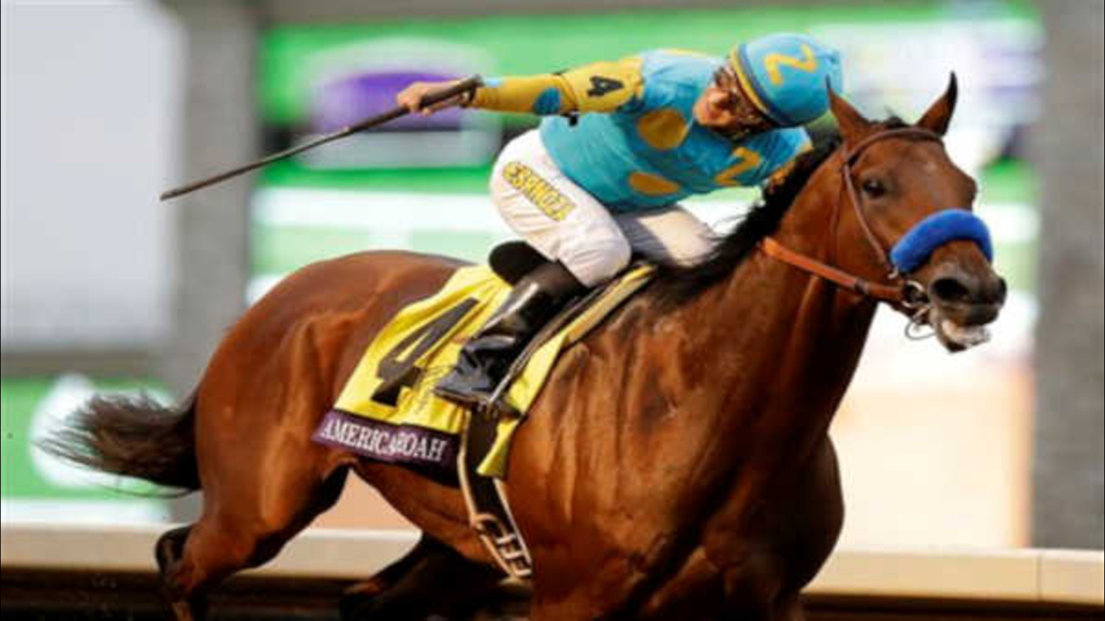 American Pharoah goes out a winner in Breeders' Cup Classic ABC7 Chicago