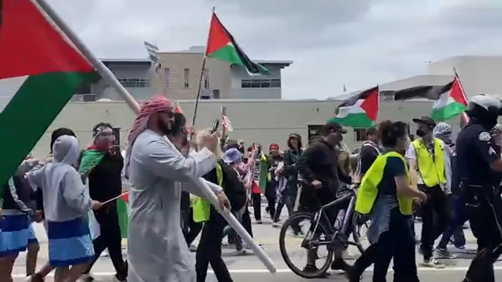 Hundreds of protesters march in support of Palestine in Westwood