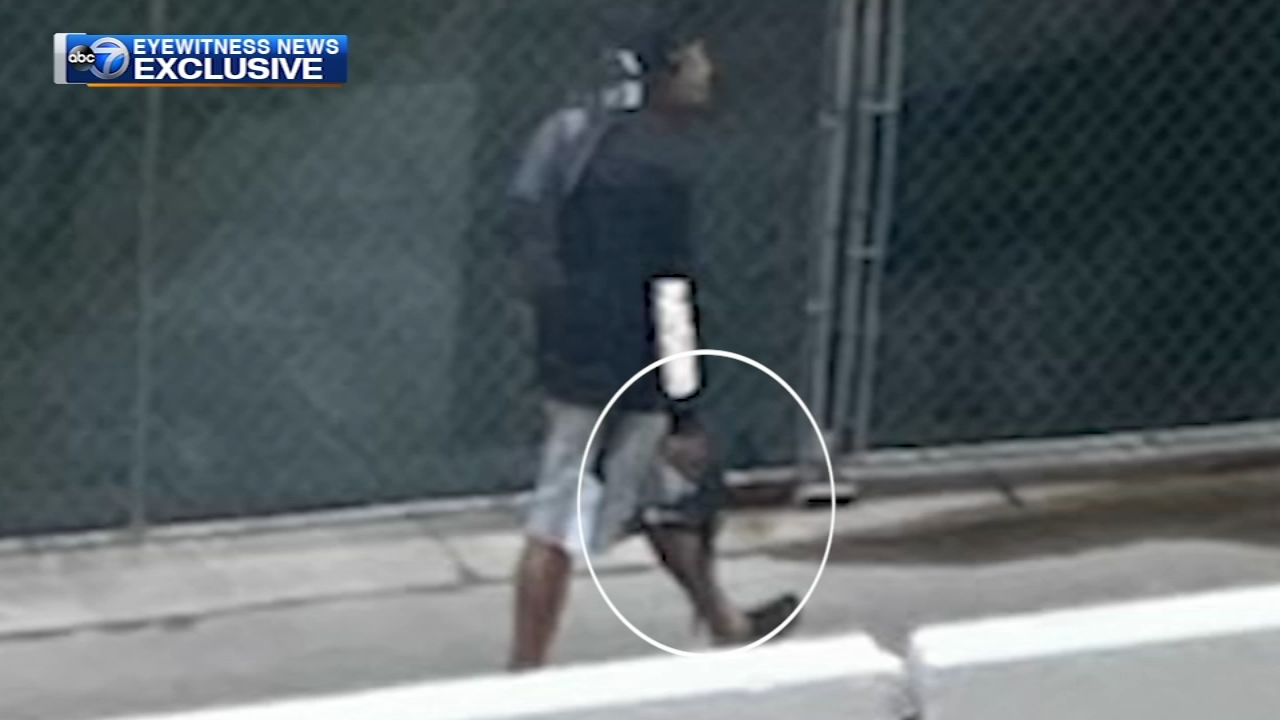 Man with long gun arrested in Loop after violent attacks
