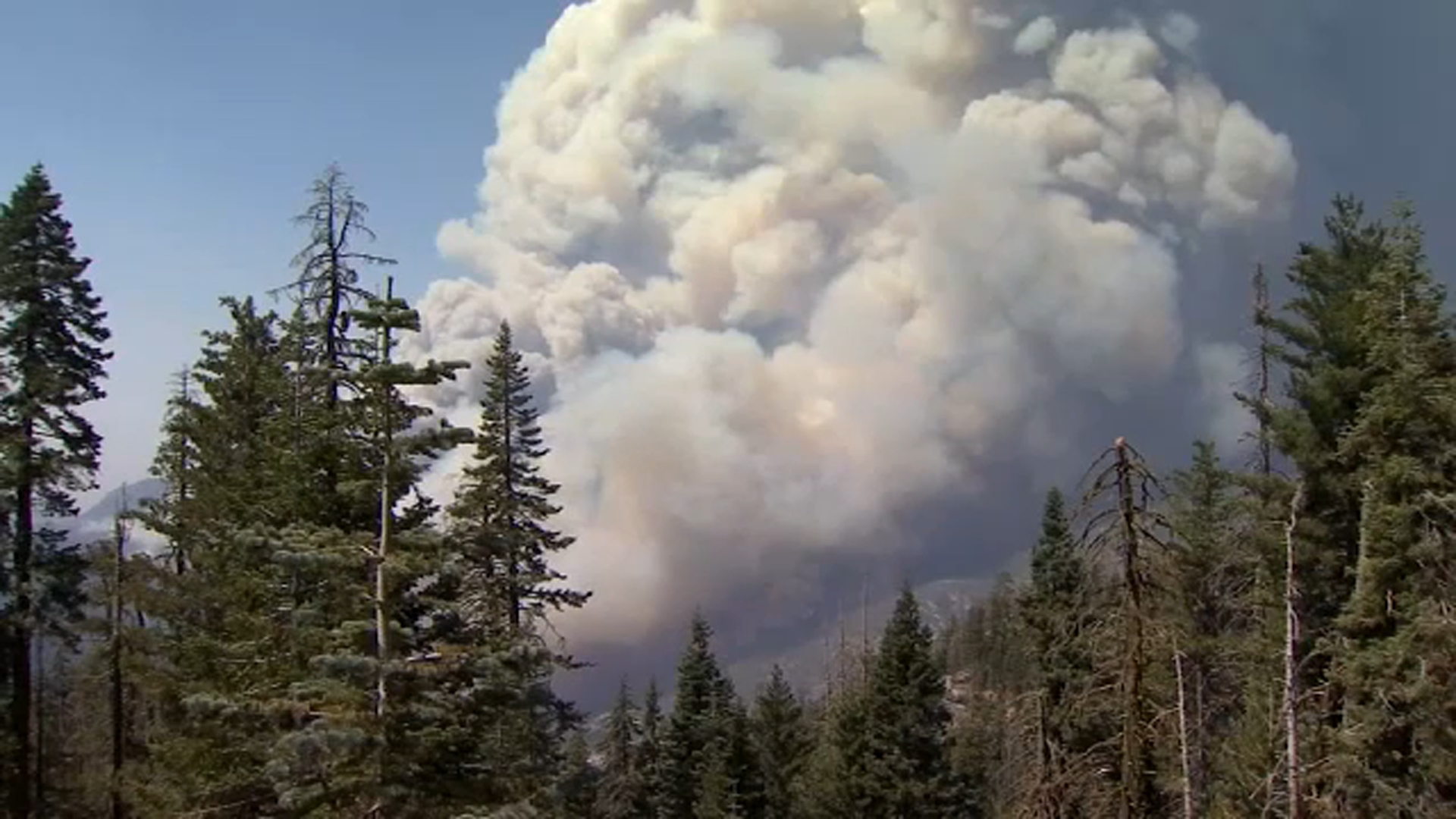 Newsom details California's wildfire preparedness plan
