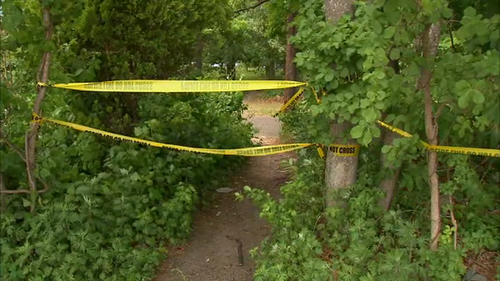 Woman assaulted, raped in Suffolk County