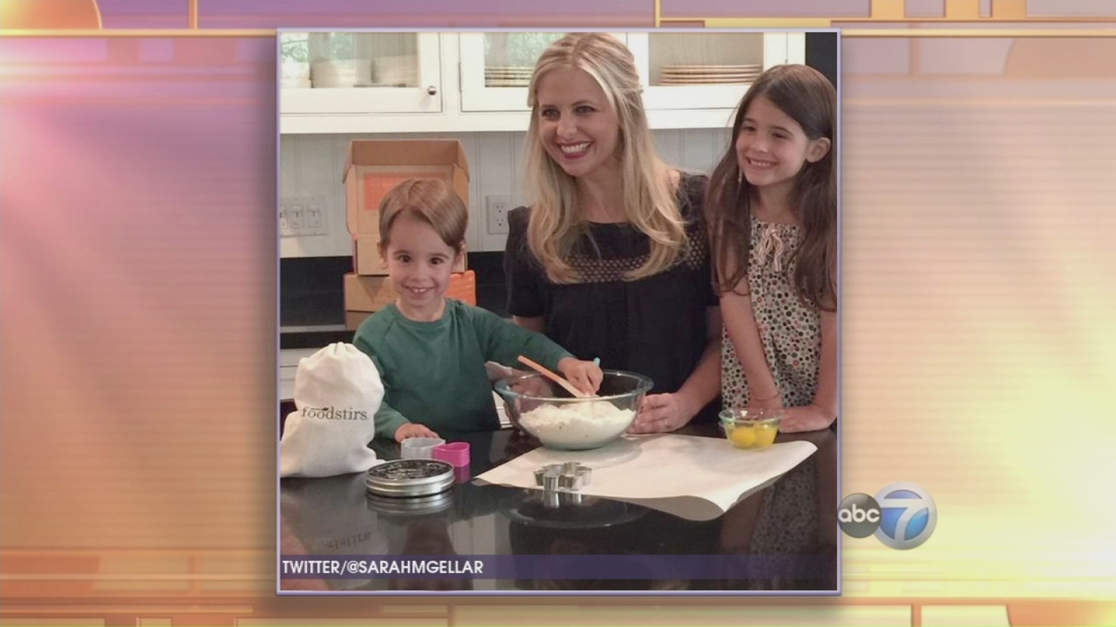 Sarah Michelle Gellar launches Foodstirs - ABC7 Chicago