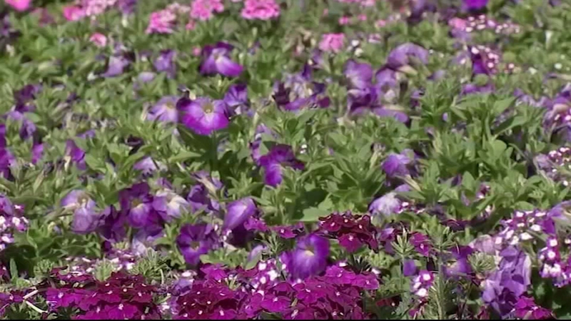 Philadelphia Flower Show 2021 At Fdr Park 6abc Philadelphia