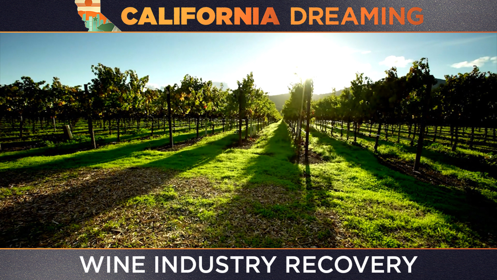 California Dreaming Golden State's wine industry recovering following