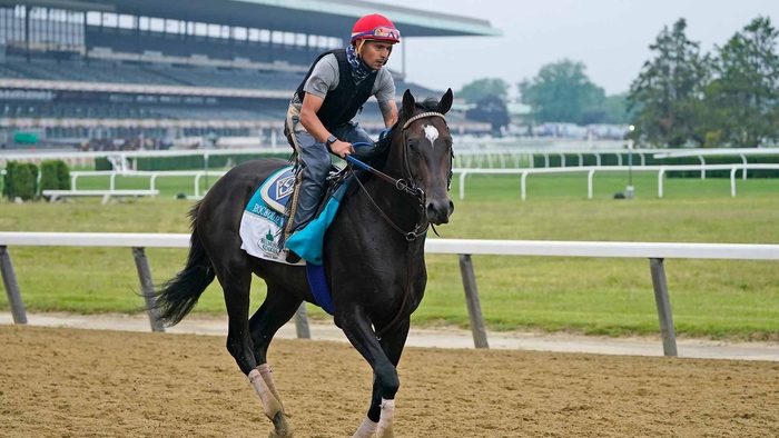 Elmont News Abc7 New York