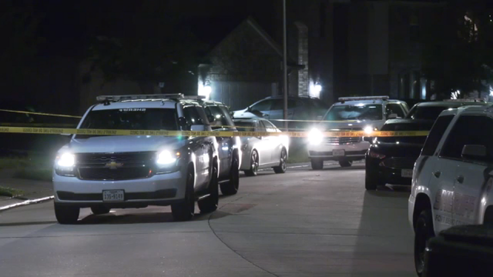 Woman mistaken for a burglar and shot by son-in-law overnight