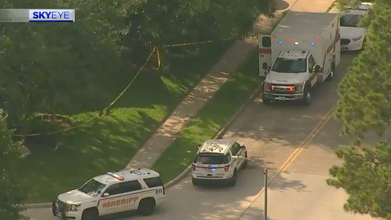 Deputies investigate domestic violence-shooting after body found