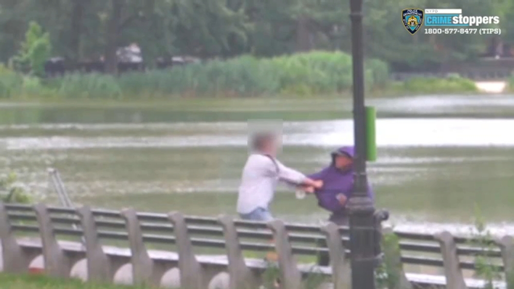 NYPD searching for suspect in Central Park mugging
