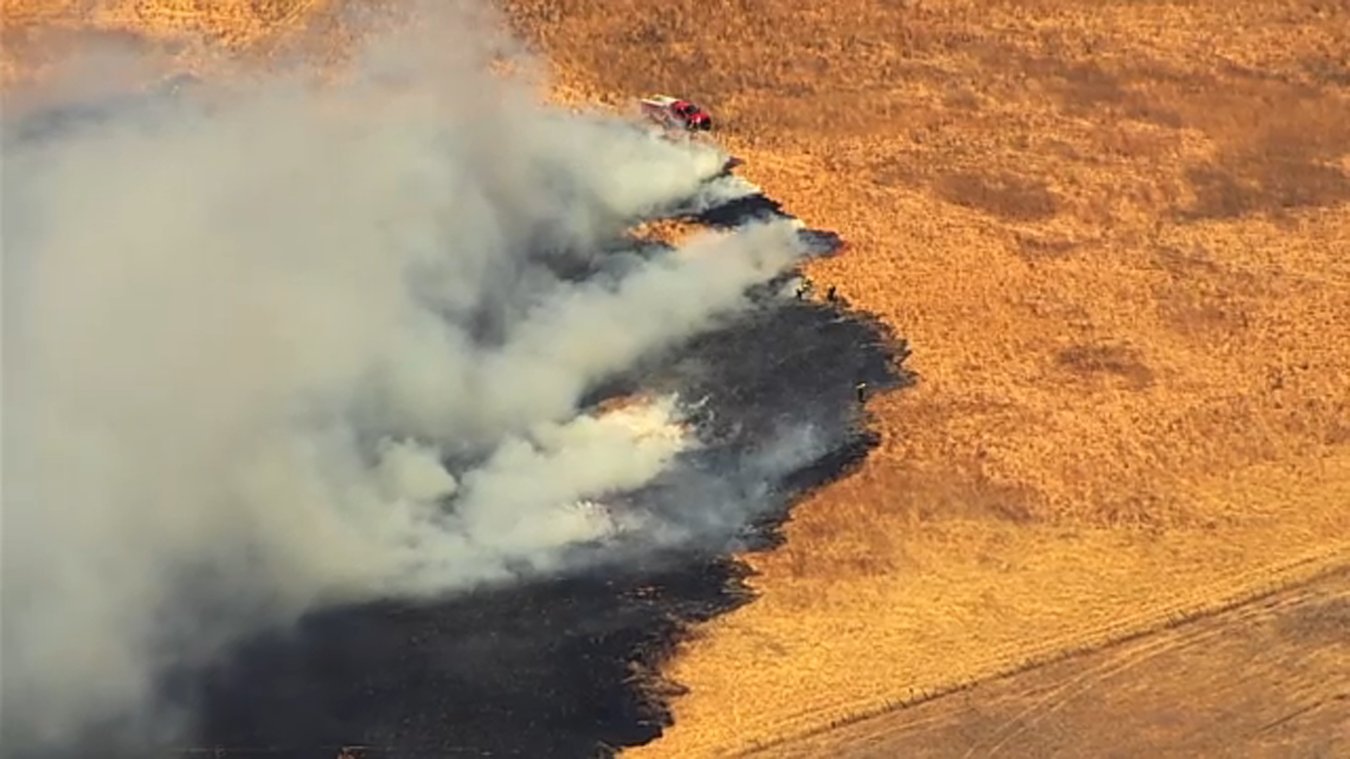Forward progress stopped on vegetation fire in SJ