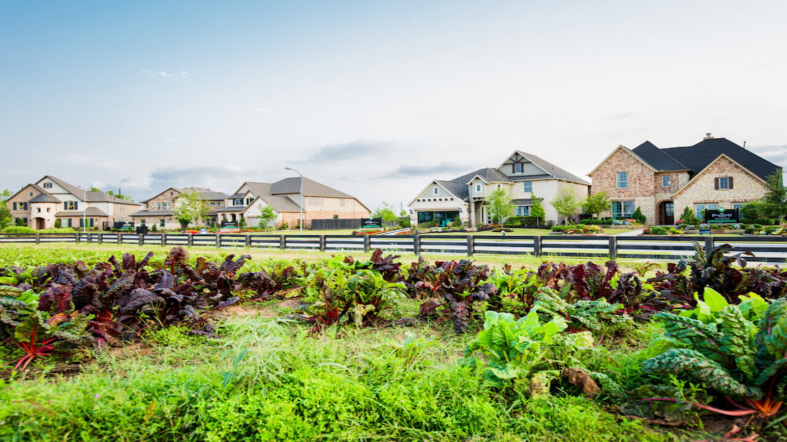 Houstonarea 'agrihood' grows with new land and affordable homes