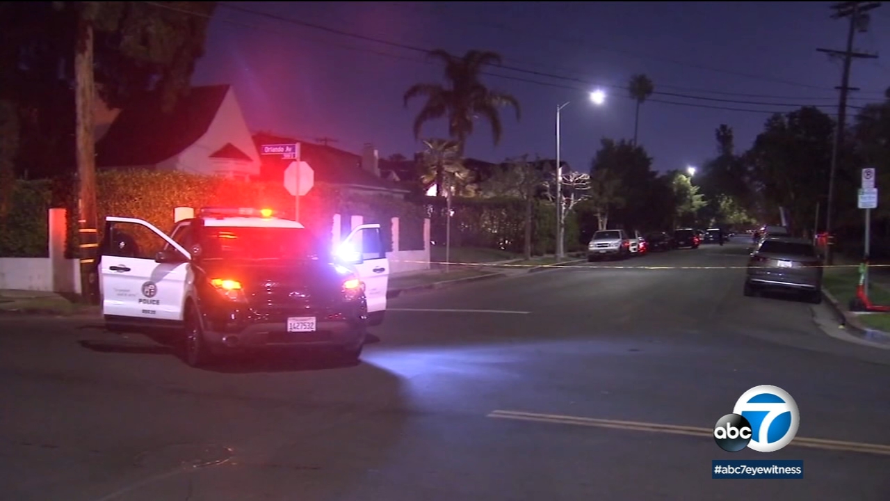 Homicides, violent crime, gun violence rise in LA