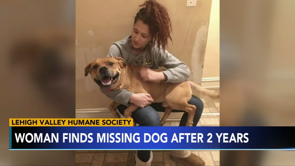 Woman looking for new pet reunited with dog after 2 years