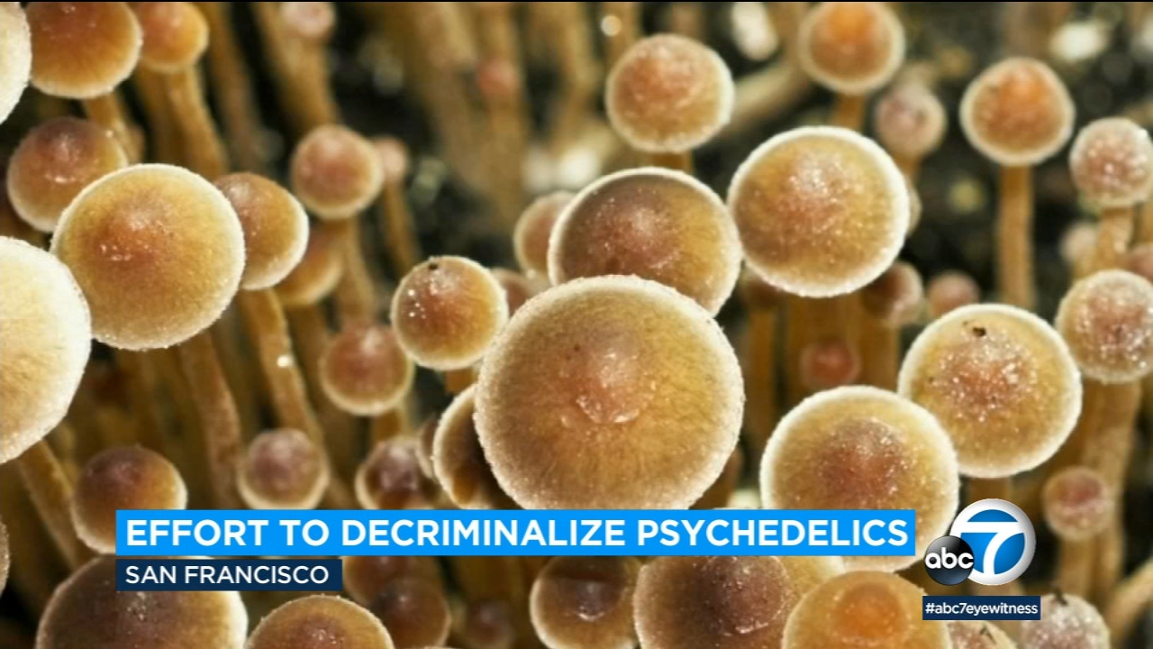 Psychedelics would be decriminalized in California under proposed bill