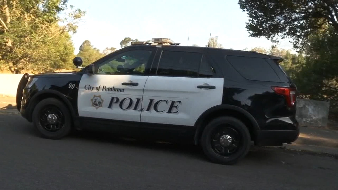 Mountain lion spotted twice in Petaluma, police say