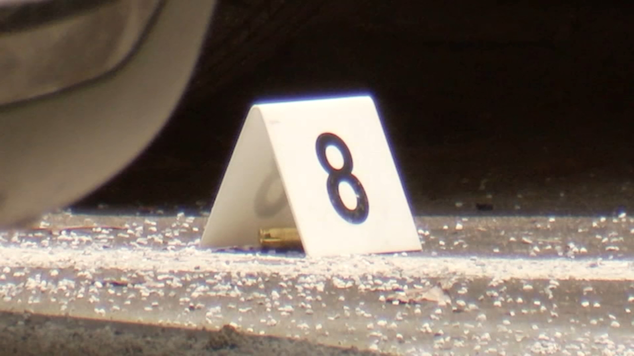 Woman says system 'failed to protect' her sister killed in shooting