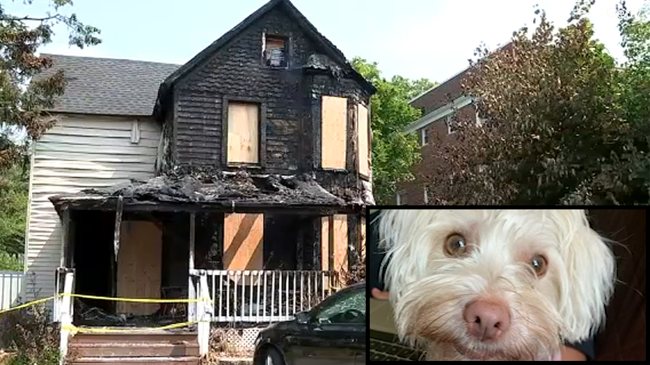 Illegal fireworks eyed in fire that destroyed family's home, killed dog