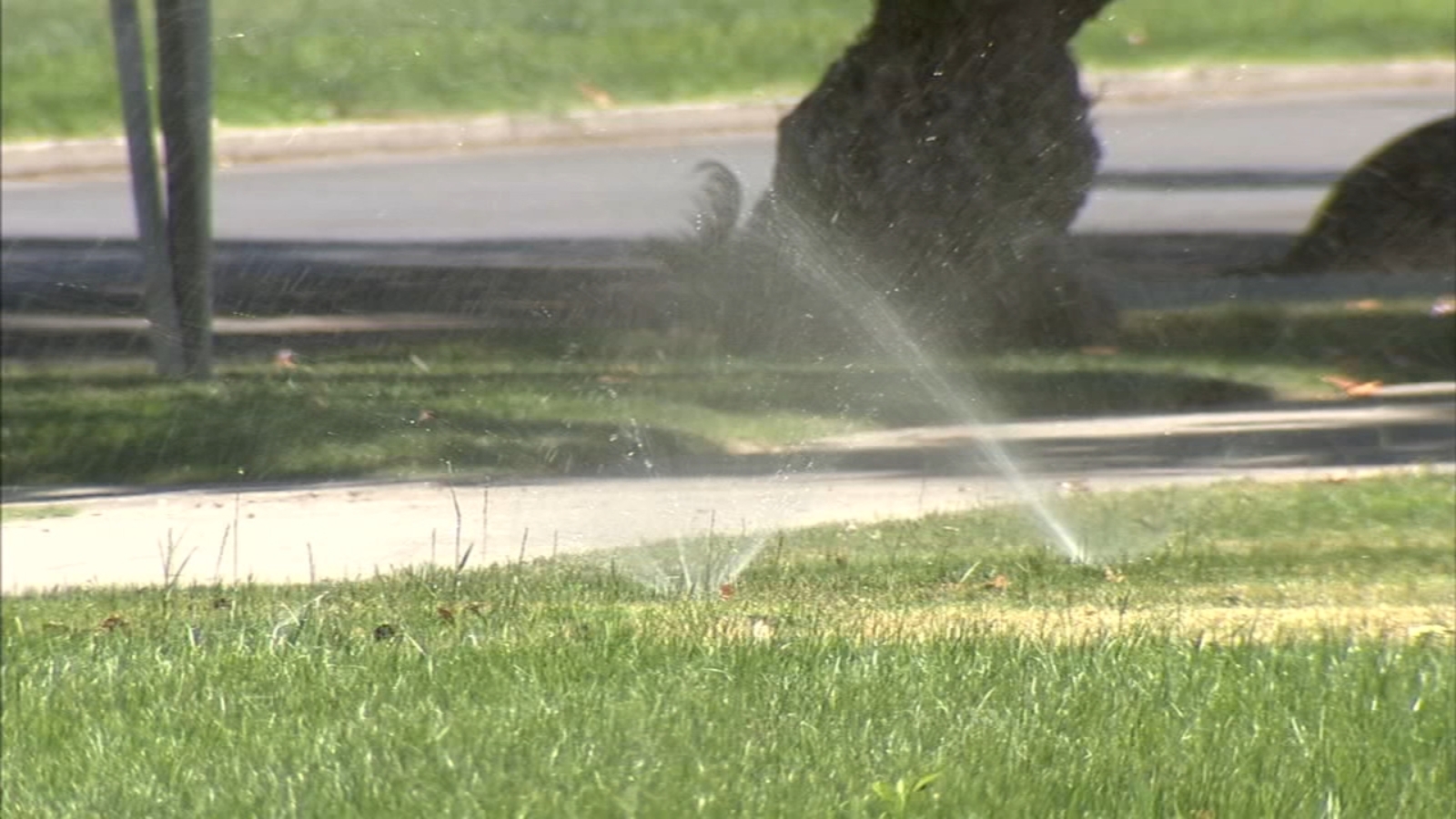 Outdoor watering restrictions lifted in Lemoore following water tank
