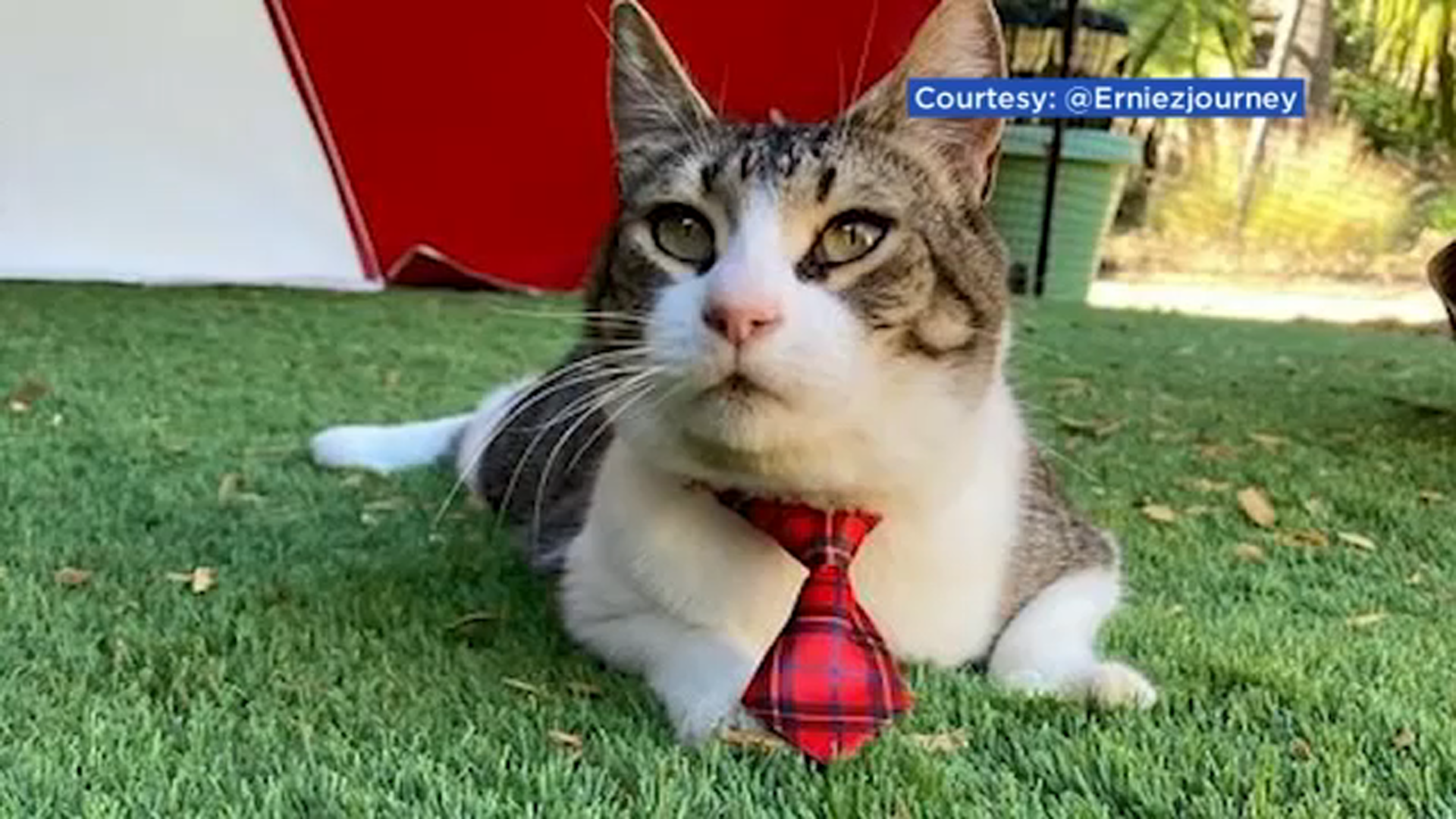 Menlo Park News Abc7 San Francisco