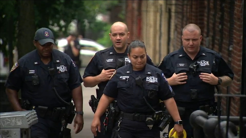 'Where is the outrage?' Shea asks in response to teen gang deaths